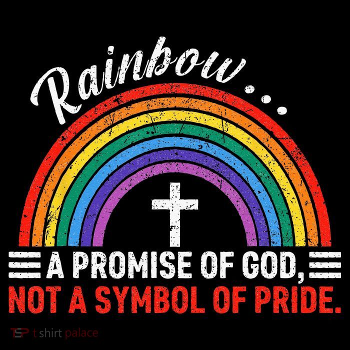 Rainbow A Promise Of God Not A Symbol Of Pride T-Shirt