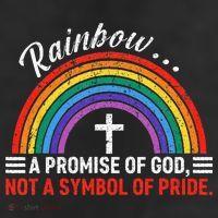 Rainbow A Promise Of God Not A Symbol Of Pride Adult Drive Performance Visor