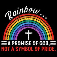 Rainbow A Promise Of God Not A Symbol Of Pride Youth Performance Sprint T-Shirt
