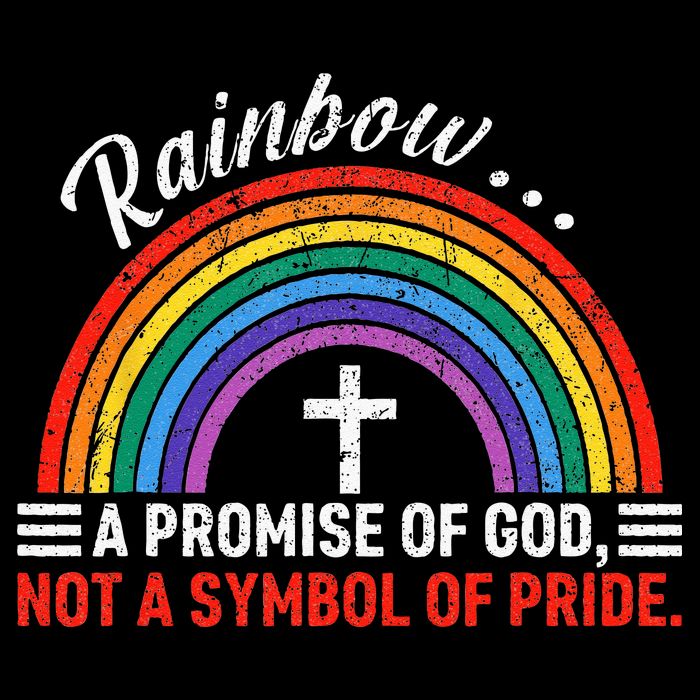 Rainbow A Promise Of God Not A Symbol Of Pride Youth Performance Sprint T-Shirt