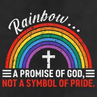 Rainbow A Promise Of God Not A Symbol Of Pride 25L Jumbo Tote