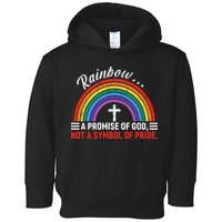 Rainbow A Promise Of God Not A Symbol Of Pride Toddler Hoodie