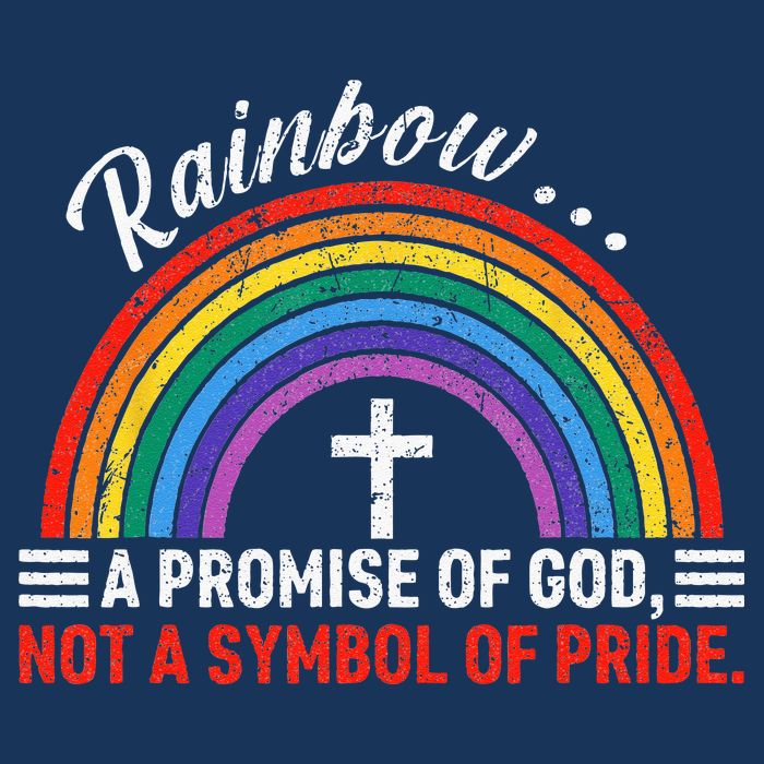 Rainbow A Promise Of God Not A Symbol Of Pride Infant Baby Jersey Bodysuit