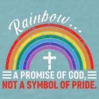 Rainbow A Promise Of God Not A Symbol Of Pride Sueded Cloud Jersey T-Shirt