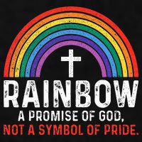 Rainbow A Promise Of God Not A Symbol Of Pride Ladies PosiCharge Tri-Blend Wicking Tank