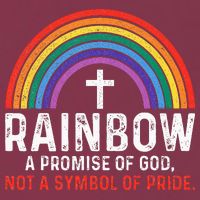 Rainbow A Promise Of God Not A Symbol Of Pride 16oz Travel Tumbler