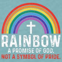 Rainbow A Promise Of God Not A Symbol Of Pride Sueded Cloud Jersey T-Shirt