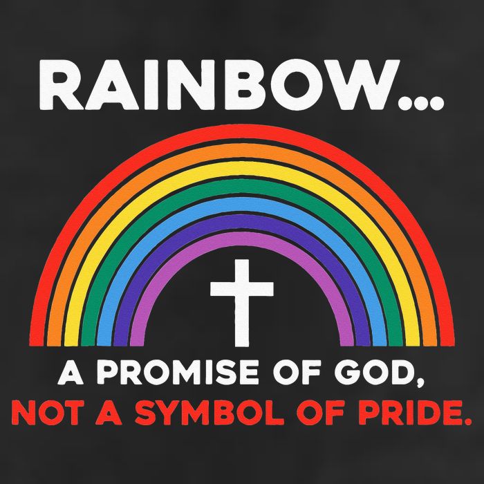 Rainbow A Promise Of God Not A Symbol Of Pride Adult Drive Performance Visor