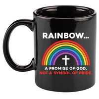Rainbow A Promise Of God Not A Symbol Of Pride 11oz C Handle Ceramic Mug