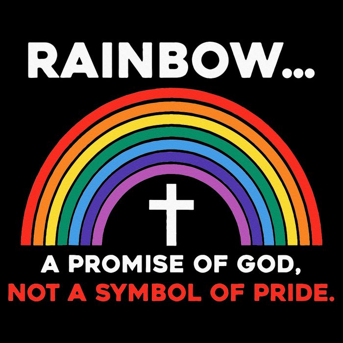 Rainbow A Promise Of God Not A Symbol Of Pride 16 in Basic Backpack