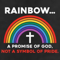 Rainbow A Promise Of God Not A Symbol Of Pride Microfiber Hand Towel