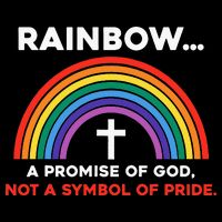 Rainbow A Promise Of God Not A Symbol Of Pride Wool Snapback Cap