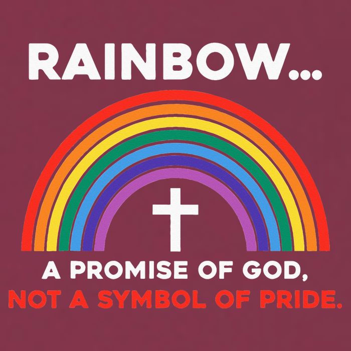 Rainbow A Promise Of God Not A Symbol Of Pride 16oz Travel Tumbler