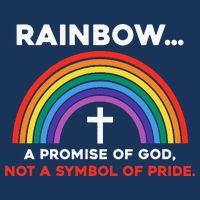 Rainbow A Promise Of God Not A Symbol Of Pride Infant Baby Jersey Bodysuit