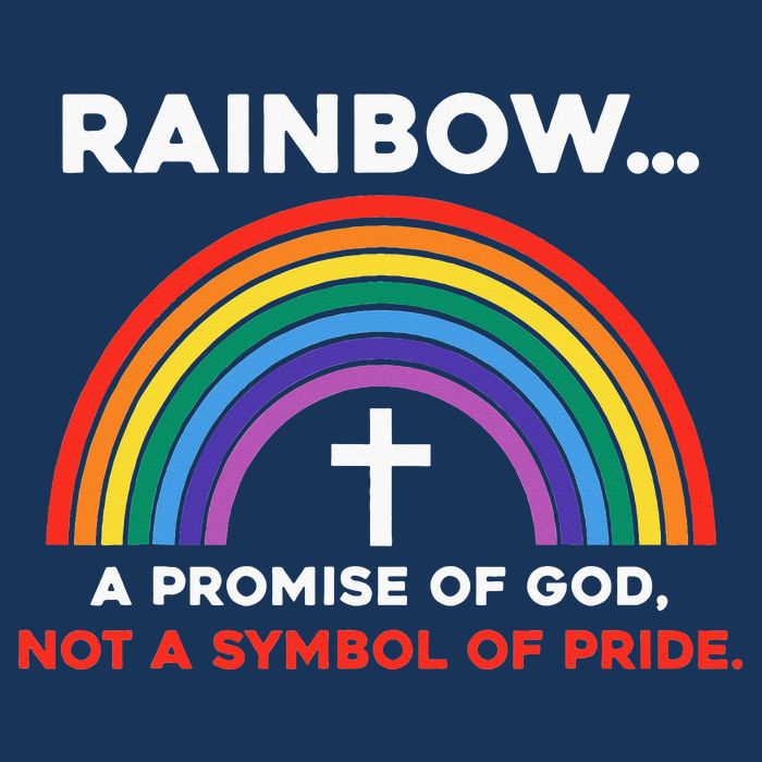 Rainbow A Promise Of God Not A Symbol Of Pride Infant Baby Jersey Bodysuit