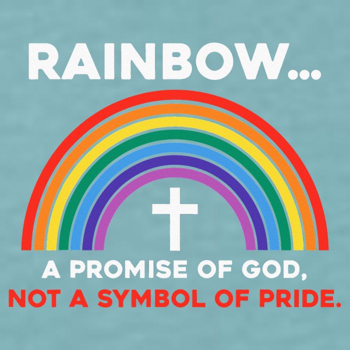 Rainbow A Promise Of God Not A Symbol Of Pride Sueded Cloud Jersey T-Shirt