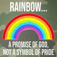 Rainbow A Promise Of God Not A Symbol Of Pride Legacy Tie Dye Trucker Hat