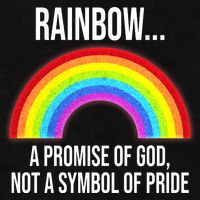 Rainbow A Promise Of God Not A Symbol Of Pride Ladies PosiCharge Tri-Blend Wicking Tank