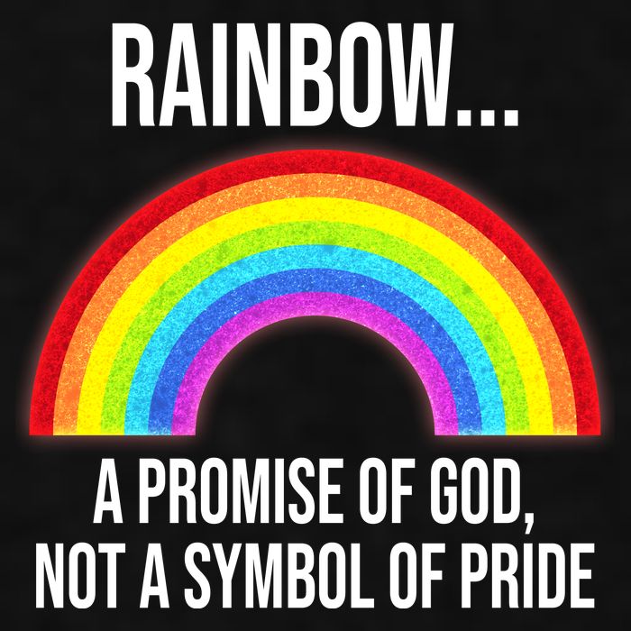Rainbow A Promise Of God Not A Symbol Of Pride Ladies PosiCharge Tri-Blend Wicking Tank