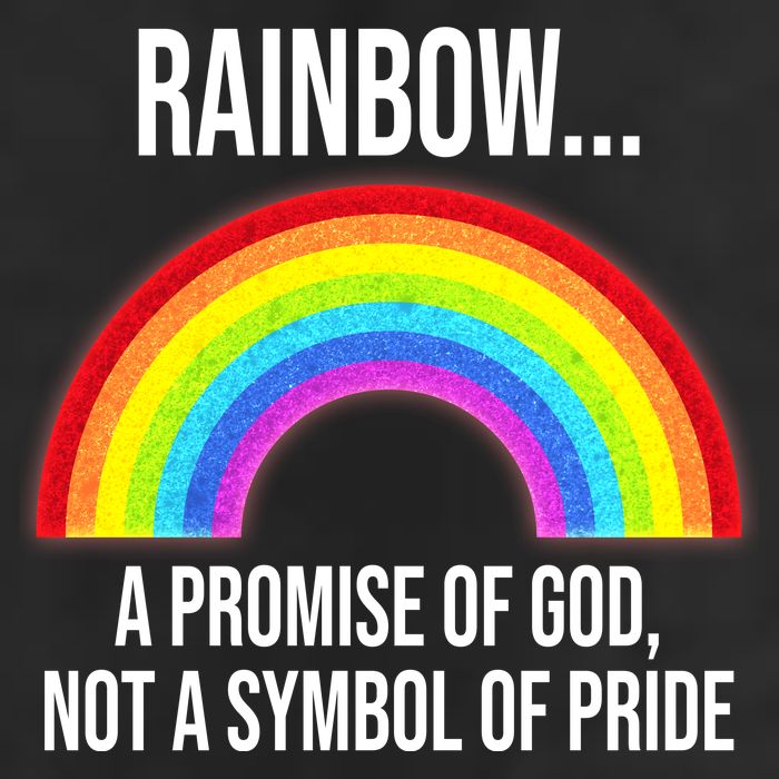 Rainbow A Promise Of God Not A Symbol Of Pride Cool Comfort Performance Bucket Hat