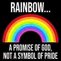 Rainbow A Promise Of God Not A Symbol Of Pride Sweatshirt