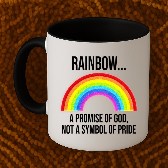 Rainbow A Promise Of God Not A Symbol Of Pride Mug