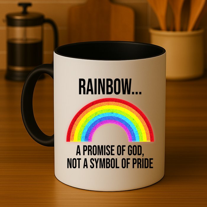 Rainbow A Promise Of God Not A Symbol Of Pride Mug