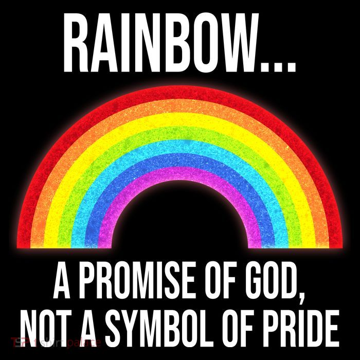 Rainbow A Promise Of God Not A Symbol Of Pride Youth Performance Sprint T-Shirt