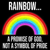 Rainbow A Promise Of God Not A Symbol Of Pride Premium T-Shirt