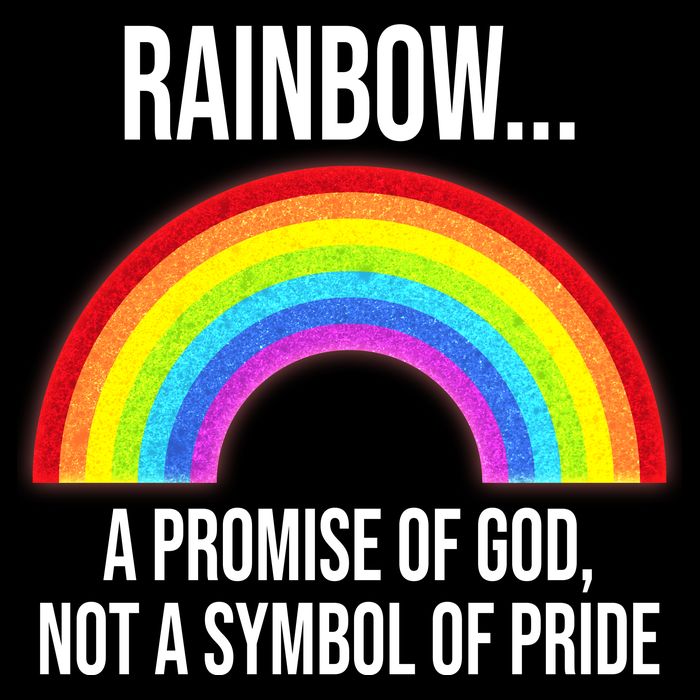 Rainbow A Promise Of God Not A Symbol Of Pride Premium T-Shirt