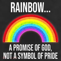Rainbow A Promise Of God Not A Symbol Of Pride 25L Jumbo Tote