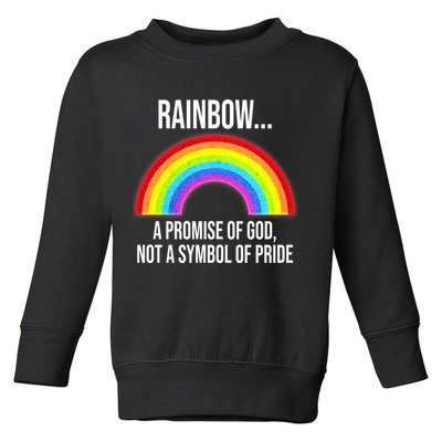 Rainbow A Promise Of God Not A Symbol Of Pride Toddler Sweatshirt