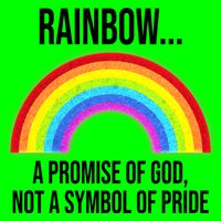 Rainbow A Promise Of God Not A Symbol Of Pride Kids T-Shirt