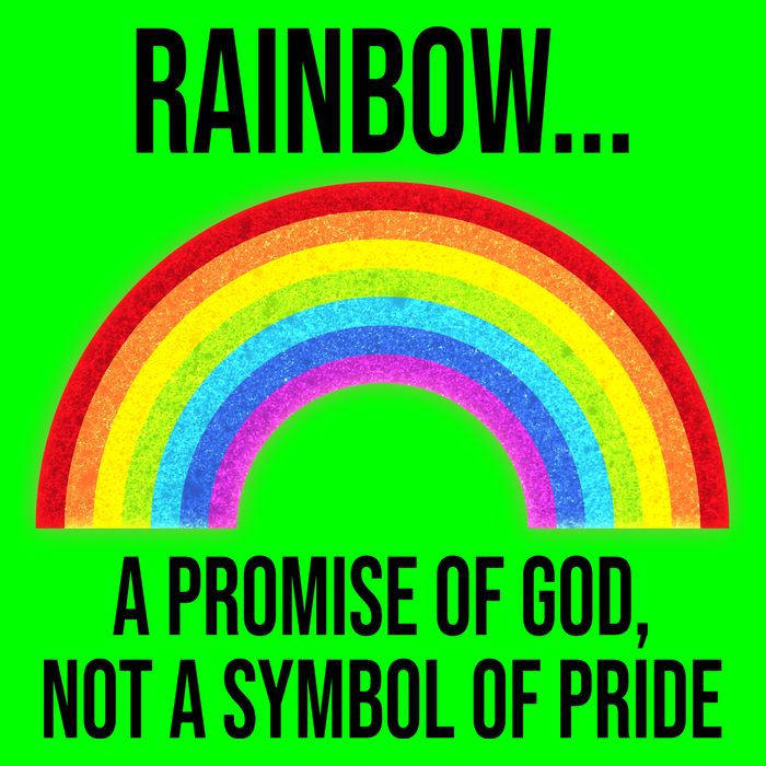 Rainbow A Promise Of God Not A Symbol Of Pride Kids T-Shirt