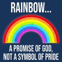 Rainbow A Promise Of God Not A Symbol Of Pride Infant Baby Jersey Bodysuit