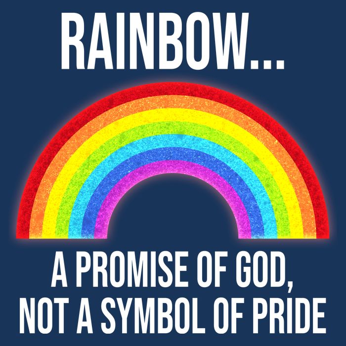 Rainbow A Promise Of God Not A Symbol Of Pride Infant Baby Jersey Bodysuit