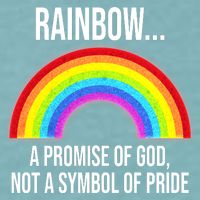 Rainbow A Promise Of God Not A Symbol Of Pride Sueded Cloud Jersey T-Shirt