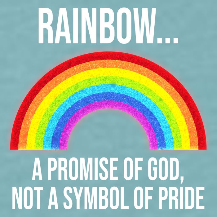 Rainbow A Promise Of God Not A Symbol Of Pride Sueded Cloud Jersey T-Shirt