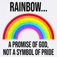 Rainbow A Promise Of God Not A Symbol Of Pride Garment-Dyed Sweatshirt
