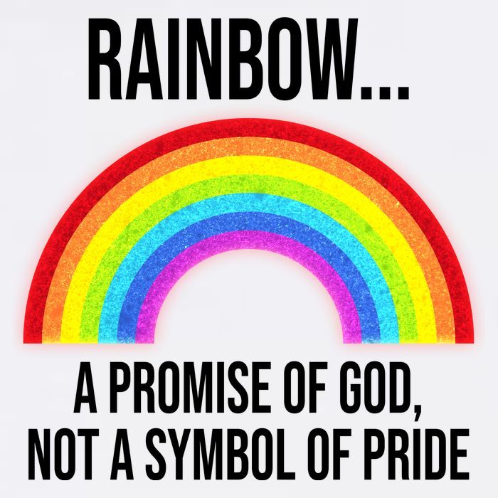 Rainbow A Promise Of God Not A Symbol Of Pride Garment-Dyed Sweatshirt