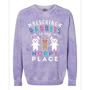 Rabbit Animal Rescue Meaningful Gift Bunnies Dad Bunny Mama Gift Cute Gift Colorblast Crewneck Sweatshirt