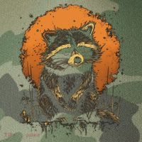 Raccoon Animal Retro Style Graphic Tees for Boy Legacy Tie Dye Trucker Hat