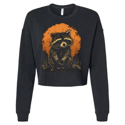 Raccoon Animal Retro Style Graphic Tees for Boy Cropped Pullover Crew