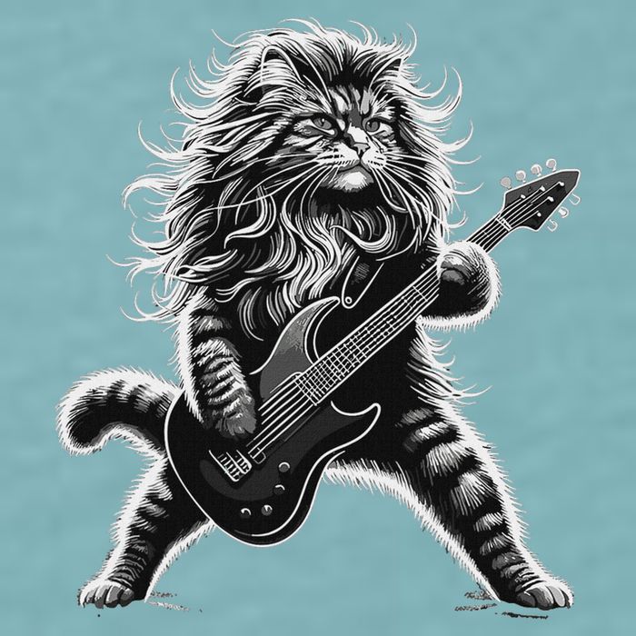 Rock And Roll Cat Playing Guitar Sueded Cloud Jersey T-Shirt