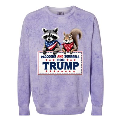 Raccoons And Squirrels For Trump Colorblast Crewneck Sweatshirt