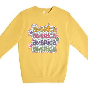 Retro America Star Gift Premium Crewneck Sweatshirt