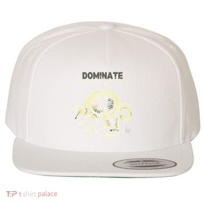 Rise Above The Peaks Dominate Your World Wool Snapback Cap
