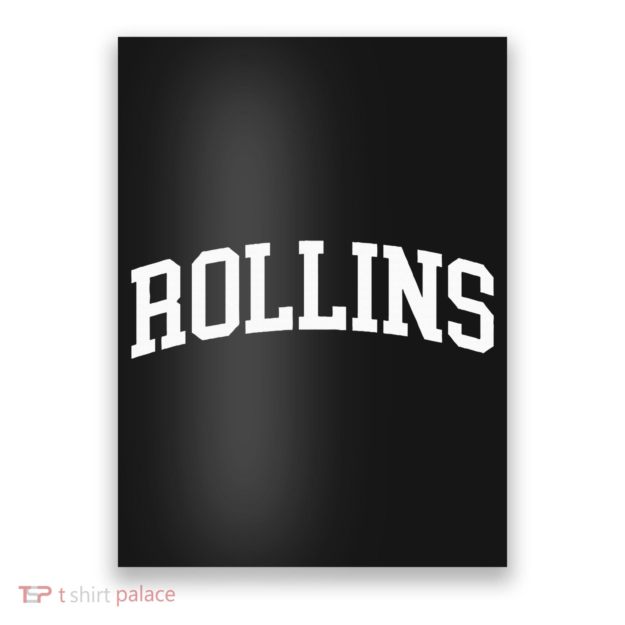 Rollins Arch Vintage Retro College Athletic Sports Poster
