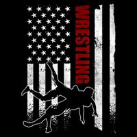 Retro American Wrestling Apparel US Flag Wrestling Wool Snapback Cap