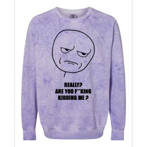 Really Are You Fking Kidding Me Colorblast Crewneck Sweatshirt